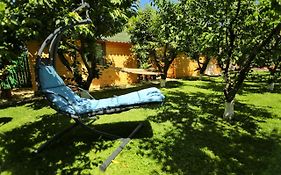 Casa Nita